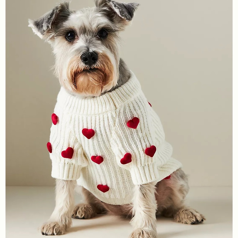 Anthropologie 3D Heart Motif Cream Pet Sweater